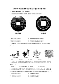 2023年陕西省渭南市合阳县中考历史二模试卷（含解析）