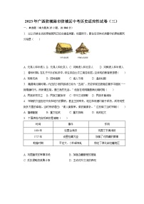 2023年广西防城港市防城区中考历史适应性试卷（三）（含解析）