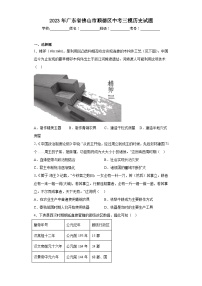 2023年广东省佛山市顺德区中考三模历史试题（含解析）