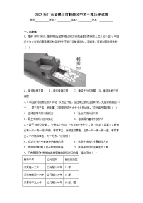2023年广东省佛山市顺德区中考三模历史试题(含解析)