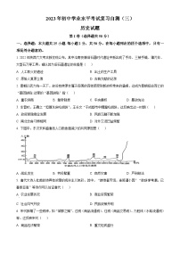 2023年山东省潍坊市中考三模历史试题（原卷版）