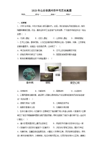 2023年山东省滨州市中考历史真题（含答案）