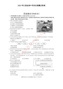 _2023年江西宜春中考历史真题及答案