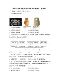 2023年河南省驻马店市汝南县中考历史二模试卷（含解析）