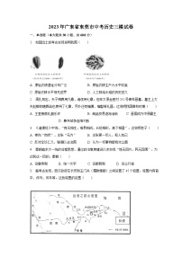2023年广东省东莞市中考历史三模试卷(含解析)