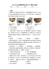 2023年山东省聊城市阳谷县中考二模历史试题(含解析)