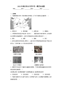 2023年重庆市永川区中考一模历史试题（含解析）