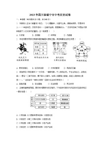 2023年四川省遂宁市中考历史试卷（含解析）