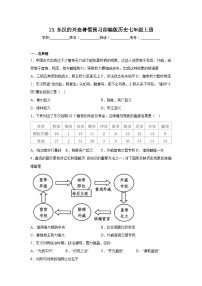 初中人教部编版第十三课 东汉的兴衰当堂检测题