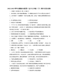 2022-2023学年安徽省合肥四十五中九年级（下）期中历史试卷（含解析）