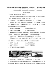 2022-2023学年山东省青岛市城阳区八年级（下）期末历史试卷（含解析）