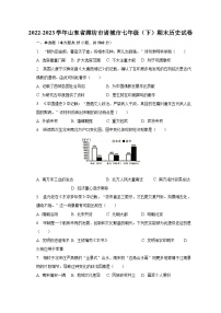 2022-2023学年山东省潍坊市诸城市七年级（下）期末历史试卷（含解析）