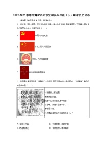 2022-2023学年河南省洛阳市宜阳县八年级（下）期末历史试卷（含解析）