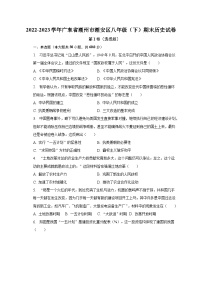 2022-2023学年广东省潮州市潮安区八年级（下）期末历史试卷（含解析）