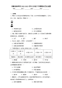 安徽省蚌埠市2022-2023学年七年级下学期期末历史试题(含答案)