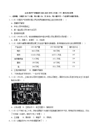 山东省济宁市邹城市2022-2023学年八年级（下）期末历史试卷（解析版）