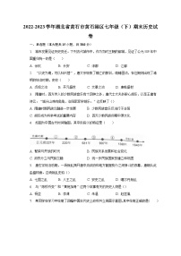 2022-2023学年湖北省黄石市黄石港区七年级（下）期末历史试卷（含解析）