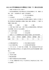 2022-2023学年湖南省永州市零陵区八年级（下）期末历史试卷（含解析）