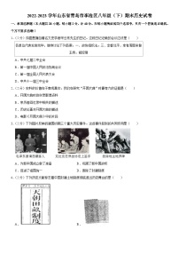 山东省青岛市李沧区2022-2023学年部编版八年级下学期期末历史试卷