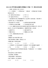 2022-2023学年湖北省襄阳市樊城区八年级（下）期末历史试卷（含解析）