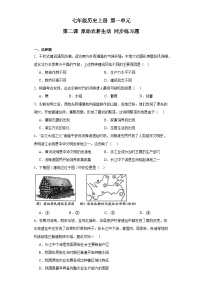 初中历史人教部编版七年级上册第二课 原始农耕生活课时作业