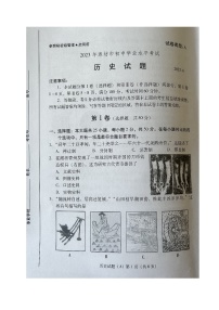 2023年山东省潍坊市中考历史真题