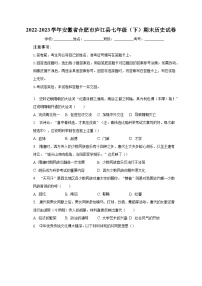 2022-2023学年安徽省合肥市庐江县七年级（下）期末历史试卷（含解析）