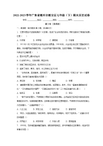 2022-2023学年广东省潮州市潮安区七年级（下）期末历史试卷（含解析）