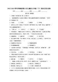 2022-2023学年河南省周口市太康县七年级（下）期末历史试卷（含解析）