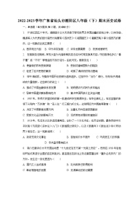 2022-2023学年广东省汕头市潮阳区八年级（下）期末历史试卷（含解析）