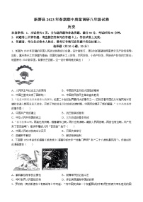 河南省南阳市新野县2022-2023学年八年级下学期期中历史试题