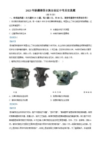 2023年新疆维吾尔族自治区中考历史真题（含解析）