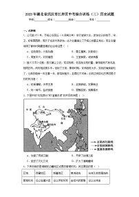 2023年湖北省武汉市江岸区中考综合训练（三）历史试题（含解析）