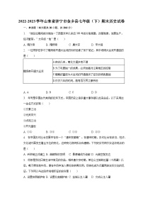 2022-2023学年山东省济宁市金乡县七年级（下）期末历史试卷（含解析）