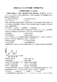 江西省南昌市南昌县2022-2023学年八年级下学期期末历史试题