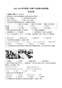 安徽省淮南市2022-2023学年八年级下学期期末历史试题