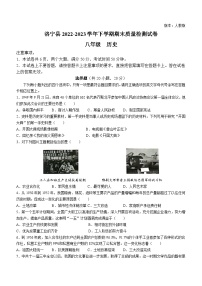 河南省洛阳市洛宁县2022-2023学年八年级下学期期末历史试题