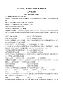 河南省驻马店市确山县2022-2023学年九年级上学期期末历史试题