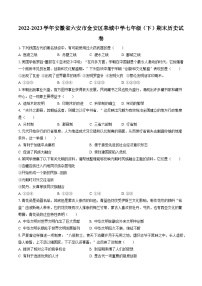 2022-2023学年安徽省六安市金安区皋城中学七年级（下）期末历史试卷（含答案解析）