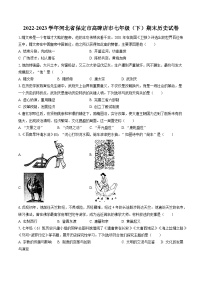 2022-2023学年河北省保定市高碑店市七年级（下）期末历史试卷（含答案解析）