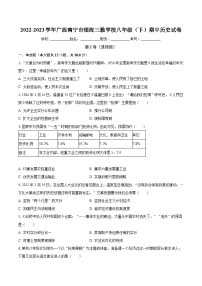 2022-2023学年广西南宁市银海三雅学校八年级（下）期中历史试卷（含解析）