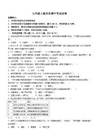 湖南省邵阳市隆回县2022-2023学年九年级上学期期中历史试题