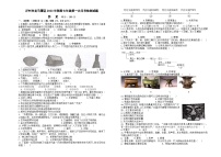 四川省泸州市龙马潭区2023-2024学年七年级上学期10月联考历史试题