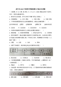 湖北省黄冈市武穴市2023-204学年七年级上学期期中质量检测历史试题（含答案）
