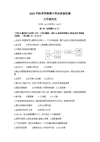 广西壮族自治区钦州市浦北县2023-2024学年九年级上学期期中历史试题（含答案）