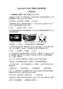 河南省驻马店市确山县2023-2024学年部编版七年级上学期11月期中历史试题