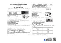 山东省德州市陵城区2023-2024学年八年级上学期期中考试历史试题