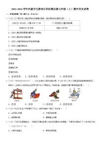 2023-2024学年内蒙古巴彦淖尔市杭锦后旗七年级（上）期中历史试卷（含解析）