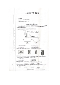 河南省信阳市平桥区2023-2024学年九年级上学期11月期中历史试题