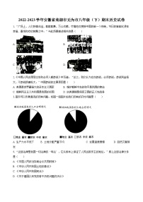 2022-2023学年安徽省芜湖市无为市八年级（下）期末历史试卷(含答案解析)